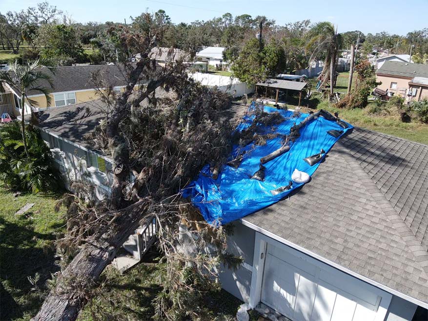 https://bluevisionroofing.com/wp-content/uploads/2025/09/Fallen-Tree.jpg